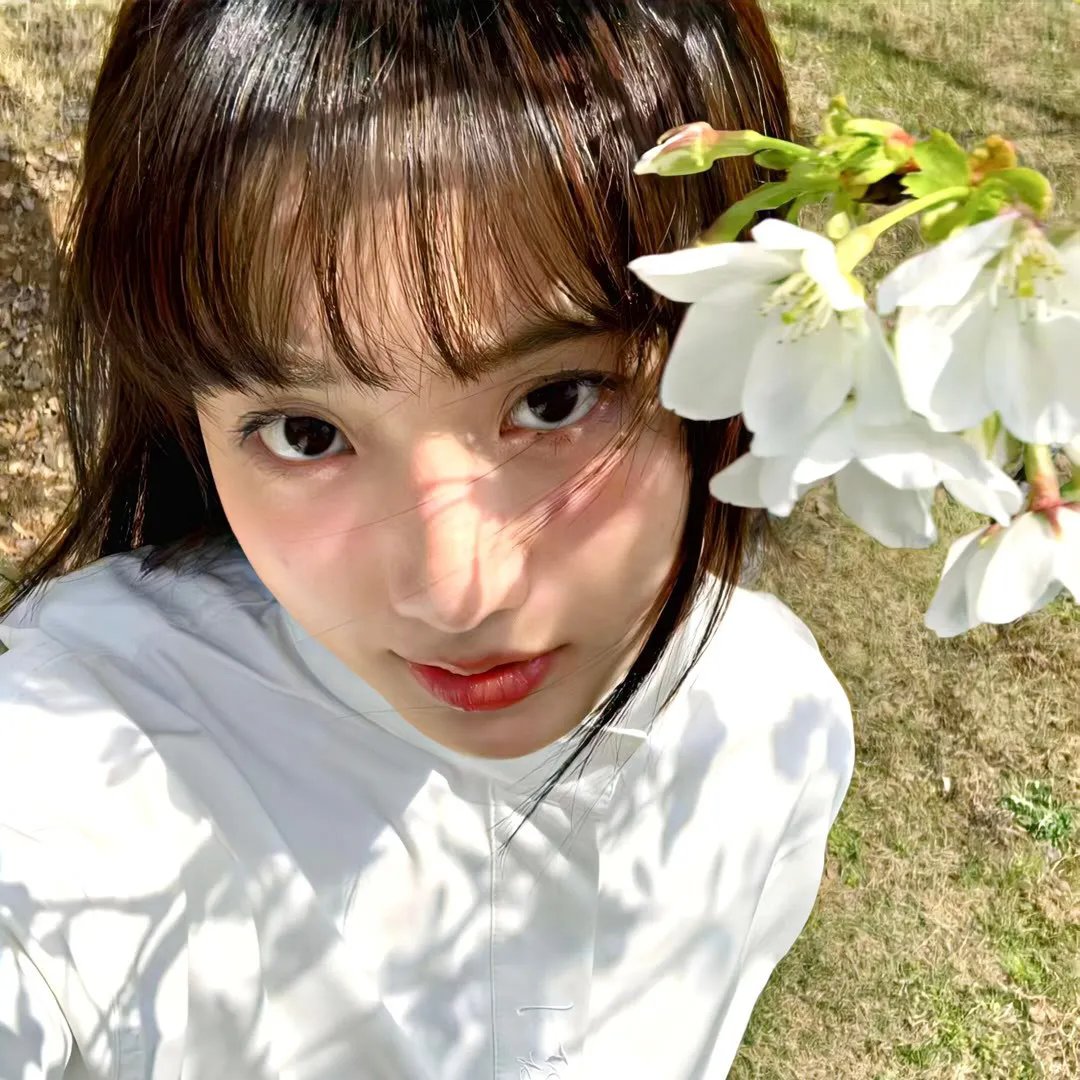 布劳涅森林的女人们
